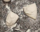 Foto del paso 5 de la receta: Coca Colorida de Tomates e Higos