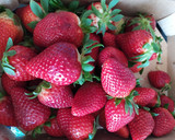 Foto del paso 1 de la receta: Fresas con leche