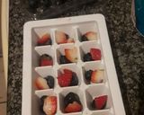 A picture of step 1 of Frozen Yogurt squares.