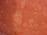 کوفته به روش سنتی و نکات آن