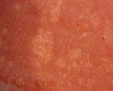 عکس مرحله 6 از دستور کوفته به روش سنتی و نکات آن