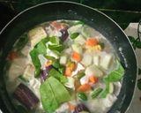 Foto langkah ke 6 dari resep Sayur Lodeh Praktis (23).