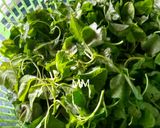 A picture of step 1 of Chaulai Saag with Bodi.