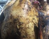 Foto del paso 5 de la receta: Pavo con Especias y Cítricos