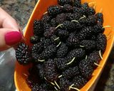 Foto del paso 1 de la receta: Mermelada de moras súper fácil!!