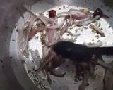 A picture of step 2 of Sohanjana ki phali (drumsticks).