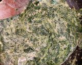 A picture of step 5 of My creamy garlic spinach.