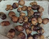 Foto del paso 1 de la receta: Papines Andinos al ajillo
