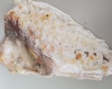 Foto del paso 9 de la receta: 🐟 Dorada a la plancha