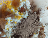 Foto del paso 1 de la receta: Alfajores tipo Havanna Veganos