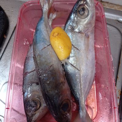 Langkah 1