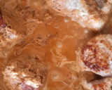 Foto del paso 4 de la receta: Solomillo en salsa de ñoras
