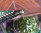 Foto del paso 6 de la receta: Pebre