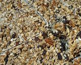 A picture of step 5 of Snack Bars.