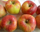 Rácsos almás recept fázis 1 fotója