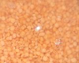 A picture of step 1 of Masoor Dal Tadka.