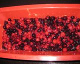 Kókuszos erdei gyümölcsös morzsasüti recept fázis 4 fotója