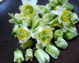 Foto langkah ke 1 dari resep Bening Toge Kembang Tongkeng.