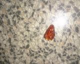 Foto del paso 8 de la receta Salsa picante Vallestera