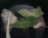 Foto langkah ke 2 dari resep Kare (Soto Kare).