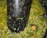Foto del paso 3 de la receta: Pollo con patatas en salsa verde