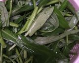 Foto langkah ke 1 dari resep Kangkung Tumis Bawang Putih.