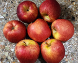 Foto del paso 1 de la receta: 🍎 Mermelada de manzana y canela sin azúcar agregada ni edulcorantes 🍎 apto #diabéticos