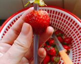 Hình bước làm 2 của món Sinh tố dâu béo ngậy
