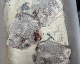 Foto del paso 1 de la receta: 625. Fricandó de ternera y setas (principal carne)