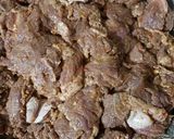 A picture of step 1 of Beef tika boti.