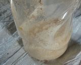 Foto langkah ke 1 dari resep Roti gabin isi kentang.