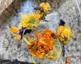 Une image de l'étape 7 de 🪻🌸 farandole de fleurs d’été 🪷🌼🌺🌺.
