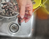 Foto del paso 4 de la receta: Anchoas en salazón