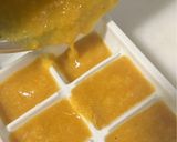Foto del paso 9 de la receta Infusión adelgazante y depurativa en cubitos