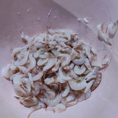 Langkah 1