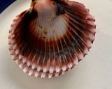 Foto del paso 1 de la receta: Zamburiñas a la plancha al ajillo