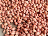 Kacang Disco