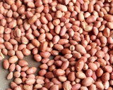 Foto langkah ke 1 dari resep Kacang Disco.