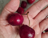 Foto del paso 1 de la receta: Cerezas bañadas en chocolate versión saludable 🍒