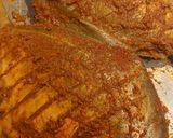 A picture of step 2 of Whole Pomfret Fish Fry.