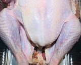 A picture of step 2 of Thanksgiving 🍁Turkey 🦃.