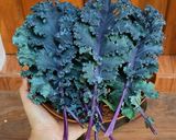 Foto langkah ke 1 dari resep Gulai Daun Kale.