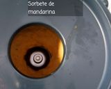 Foto del paso 3 de la receta Sorbete de Mandarina sin Azúcar de Paufeel