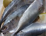 Foto langkah ke 1 dari resep Ikan Kembung Bumbu Kuning.