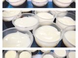 Puding coklat vla vanila roti regar..