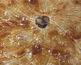 Une image de l'étape 9 de 🍄Tourte forestière aux 4 champignons.