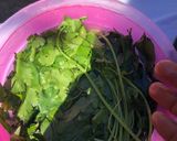 Foto del paso 2 de la receta: Caldo de quelite largo (Nit yet añaá)