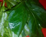 A picture of step 2 of Egusi with Hospital too far leaves.