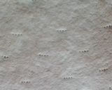 Almás pite recept fázis 5 fotója