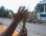 صورة لخطوة 2 من وصفة الارز المشوي 🌾nasi bakar🌾